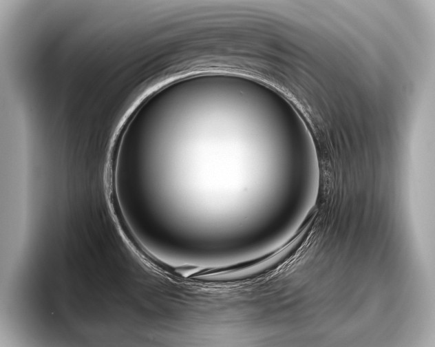 X0000096711531200802051410