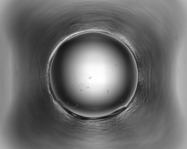 X0000096711532200802051410