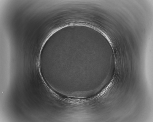 X0000096711533200802051410