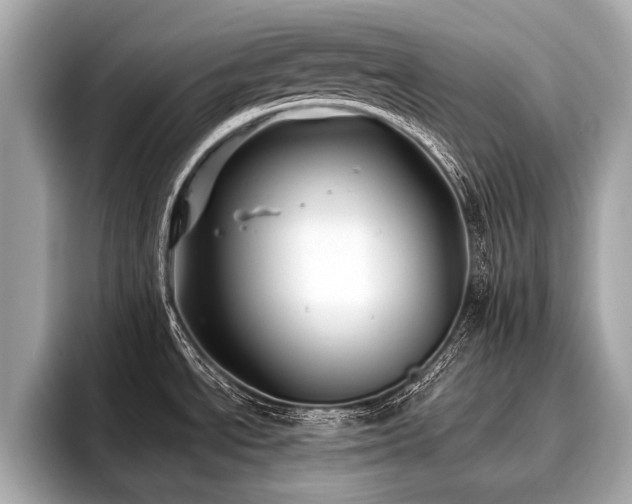 X0000096711534200802051410