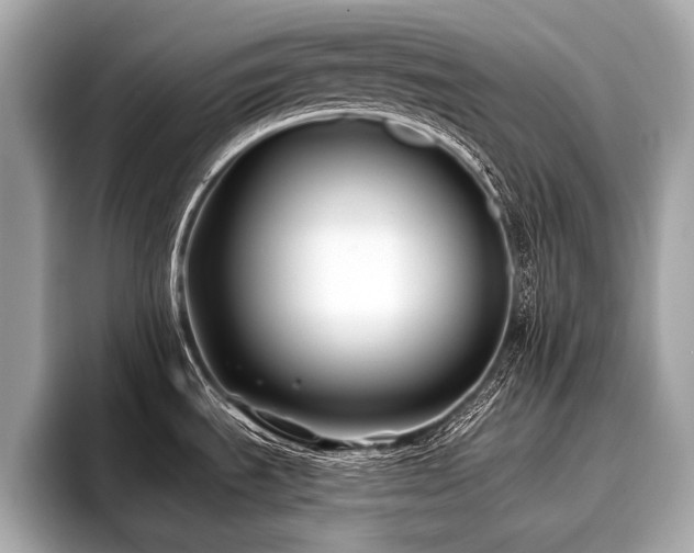 X0000096711535200802051410