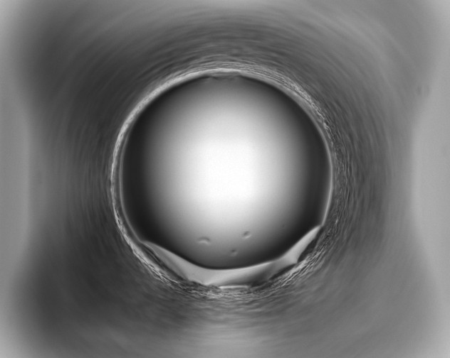 X0000096711536200802051410