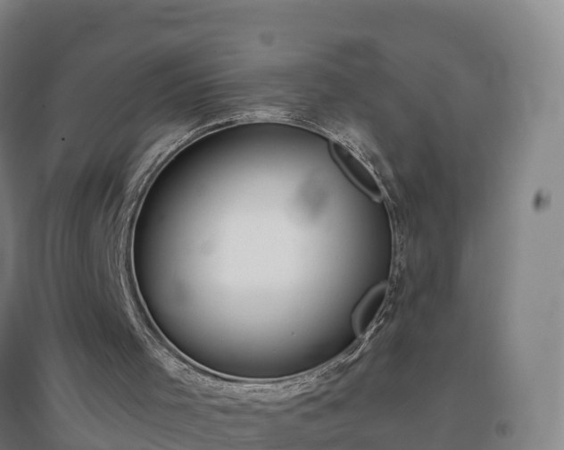 X0000096710001200802121236