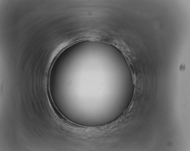 X0000096710003200802121236