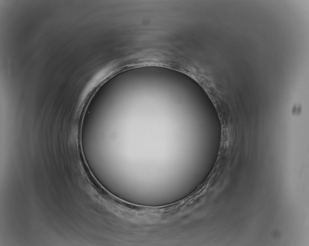 X0000096710004200802121236