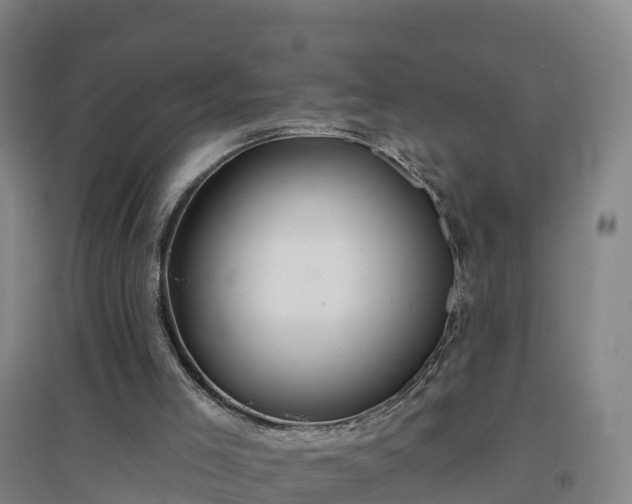 X0000096710005200802121236