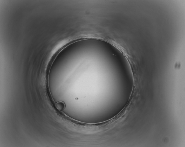 X0000096710008200802121236