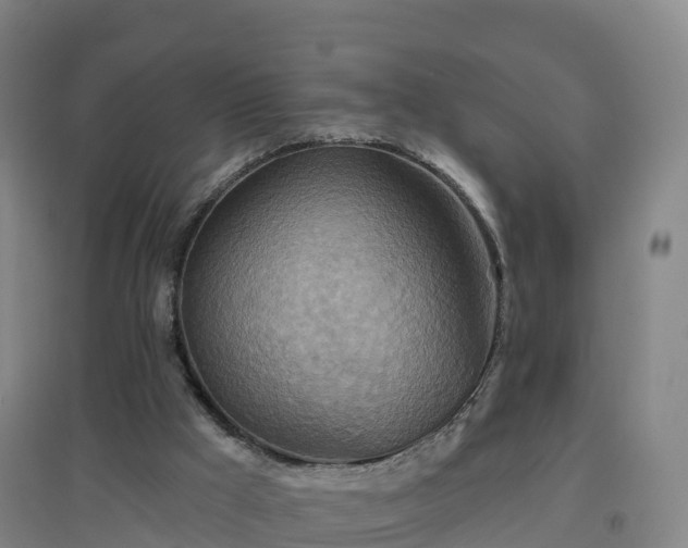 X0000096710009200802121236