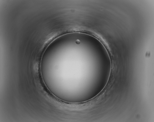 X0000096710010200802121236