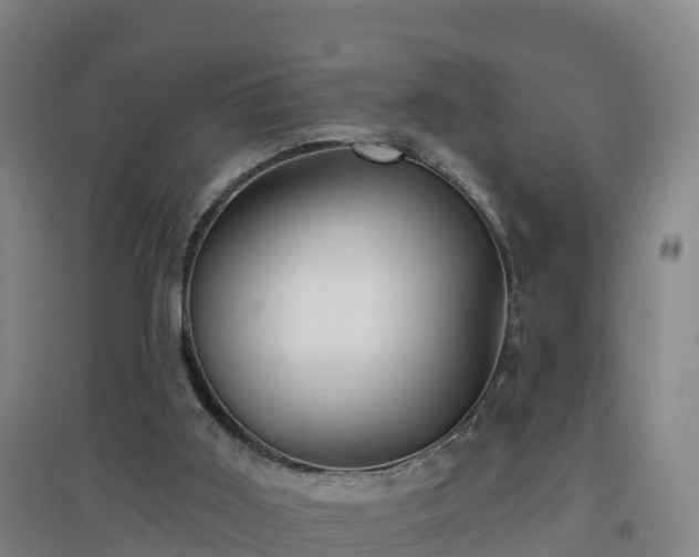 X0000096710011200802121236