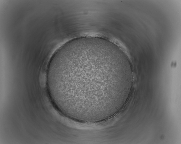 X0000096710012200802121236