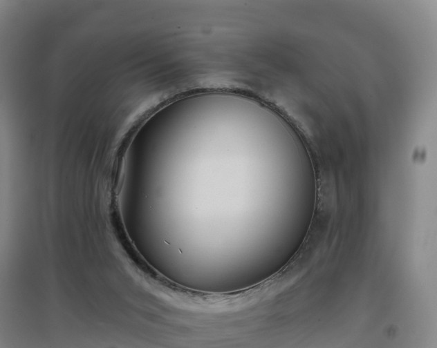 X0000096710015200802121235