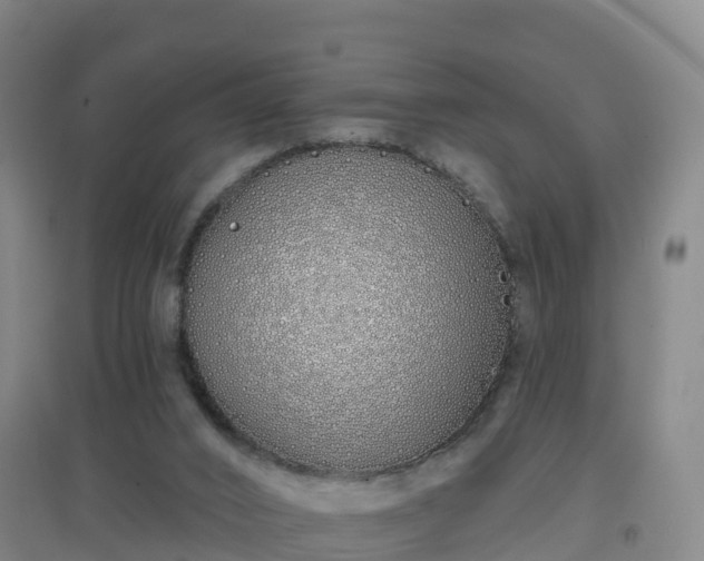 X0000096710016200802121235