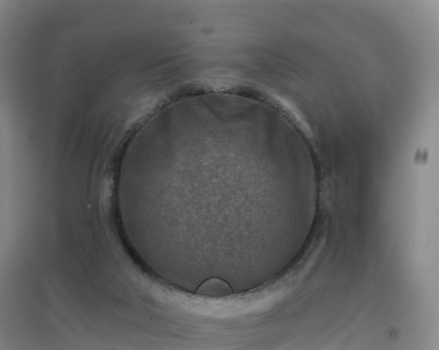 X0000096710018200802121235