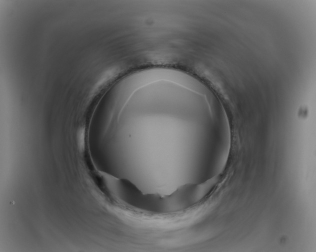 X0000096710019200802121235