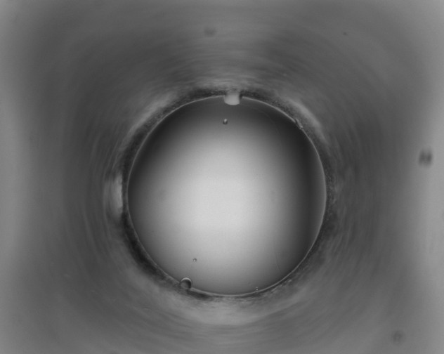 X0000096710020200802121235