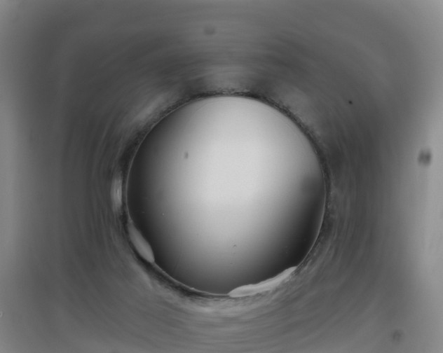 X0000096710021200802121235