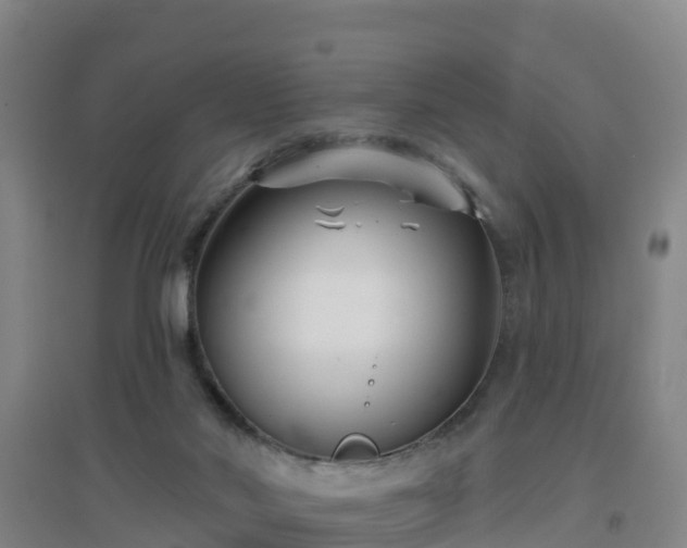 X0000096710022200802121235