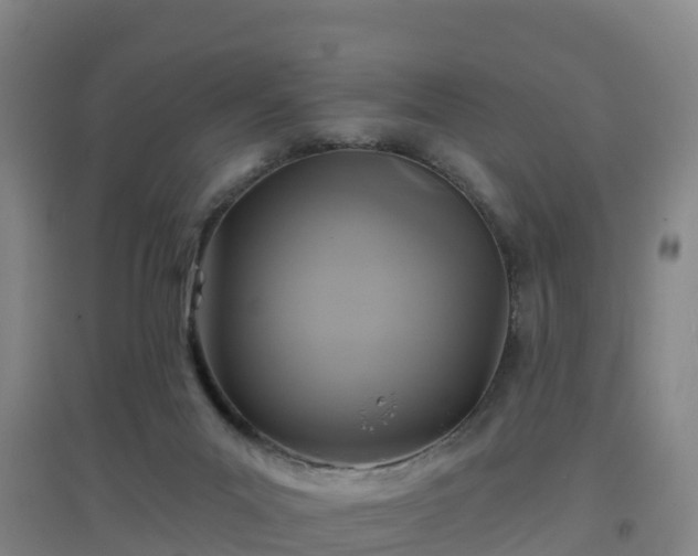 X0000096710023200802121235