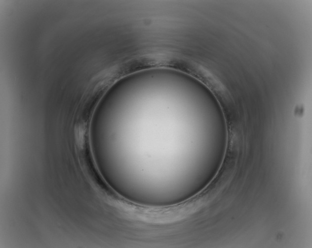 X0000096710026200802121235