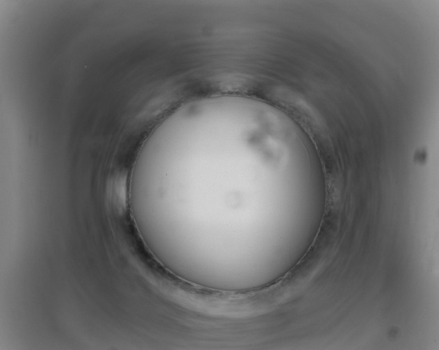 X0000096710028200802121235