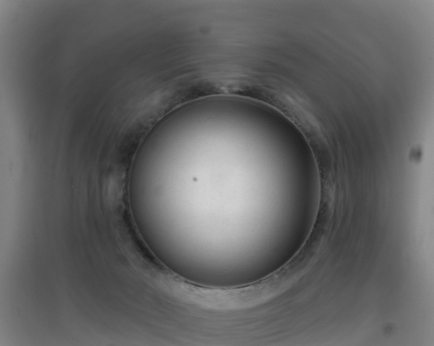 X0000096710030200802121235