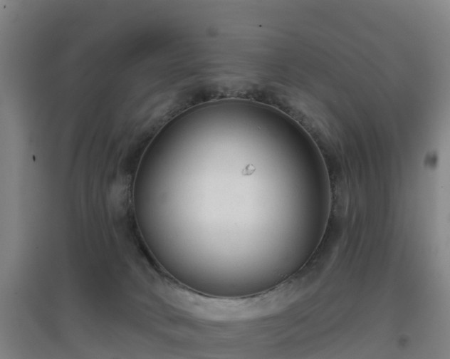 X0000096710034200802121235