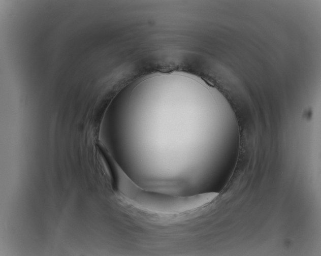 X0000096710037200802121235