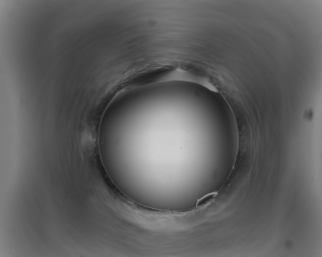 X0000096710040200802121235