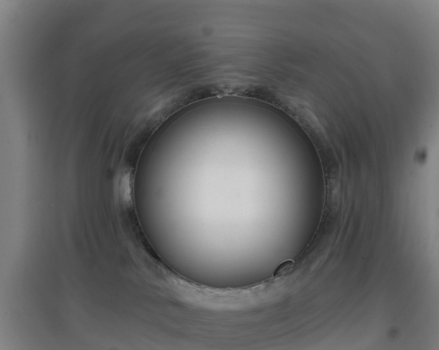 X0000096710042200802121235