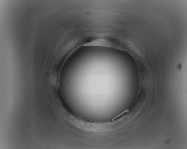 X0000096710044200802121235