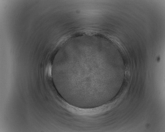 X0000096710046200802121235