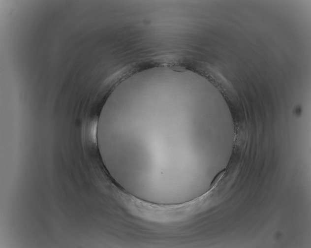 X0000096710047200802121235