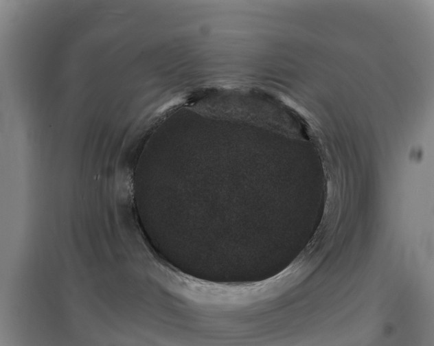 X0000096710048200802121235