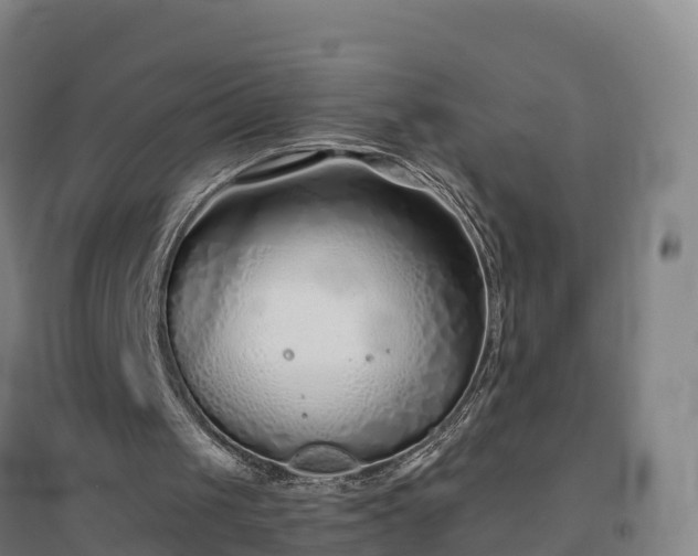 X0000096710049200802121234