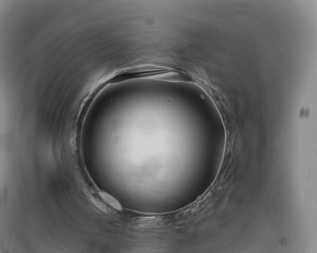 X0000096710050200802121234