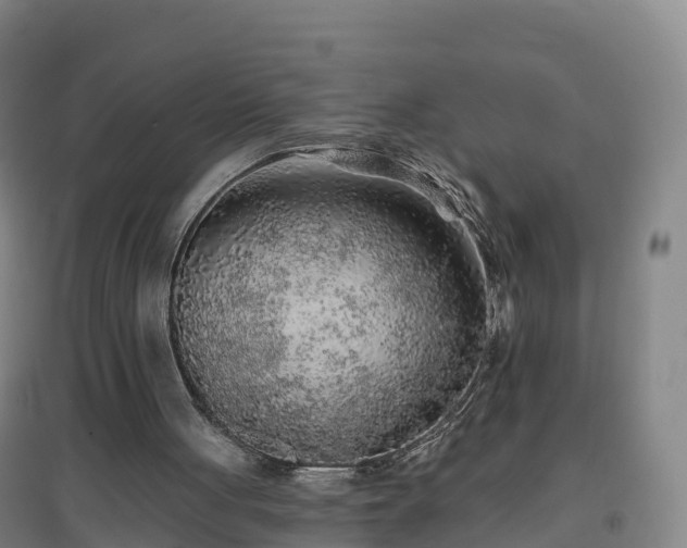 X0000096710051200802121234