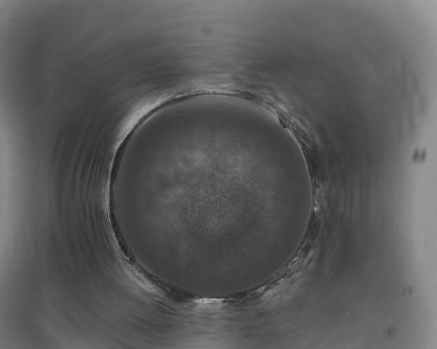 X0000096710052200802121234