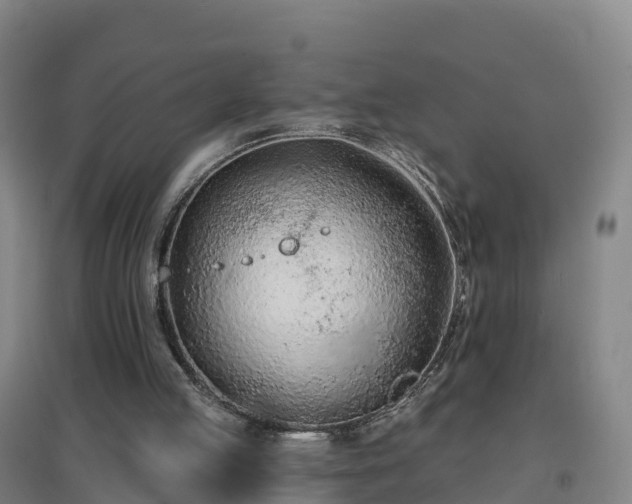 X0000096710053200802121234