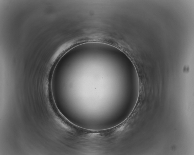 X0000096710054200802121234