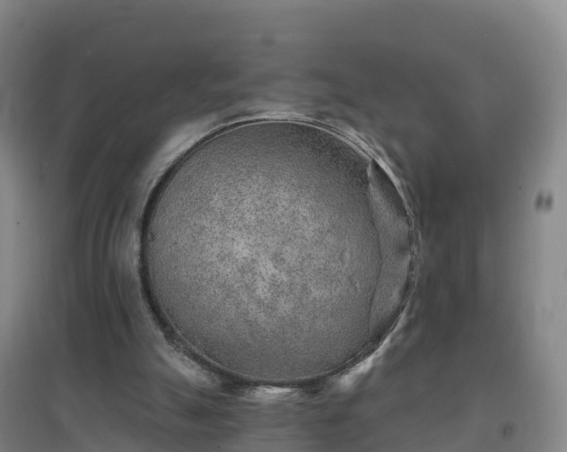 X0000096710055200802121234