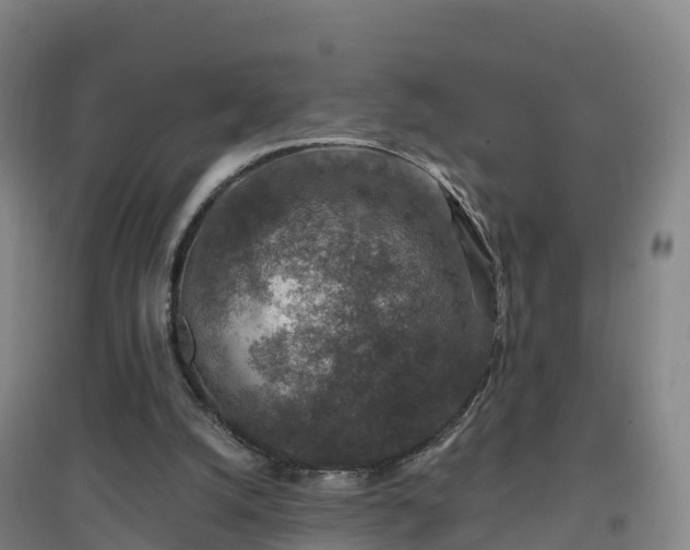 X0000096710056200802121234