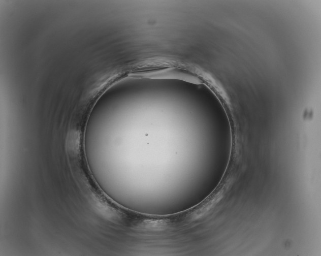 X0000096710057200802121234