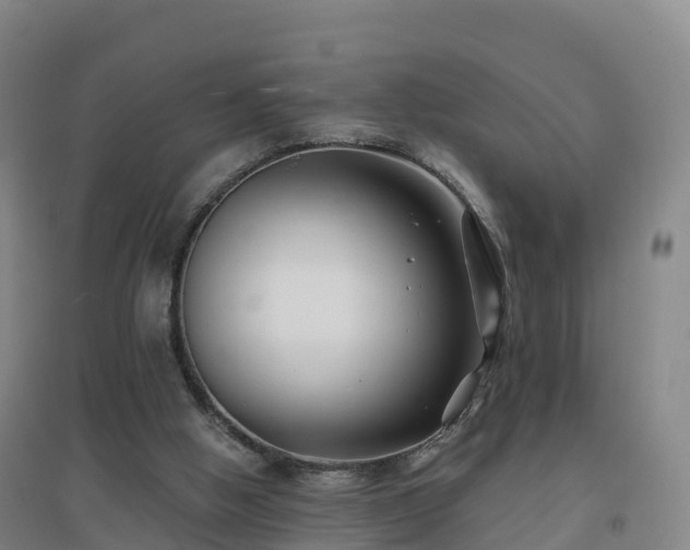 X0000096710058200802121234