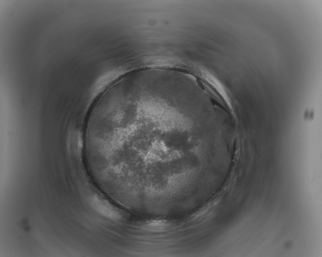 X0000096710059200802121234