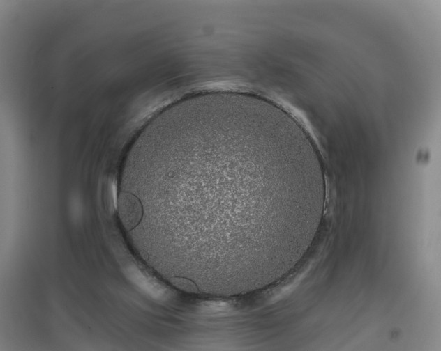 X0000096710061200802121234