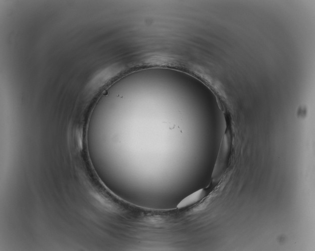 X0000096710062200802121234