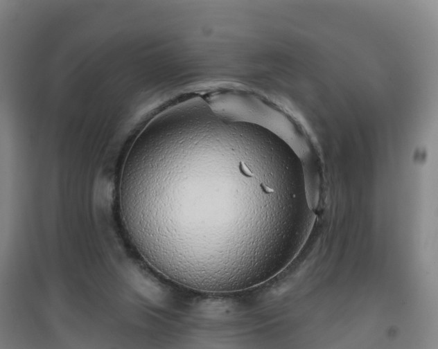 X0000096710063200802121234