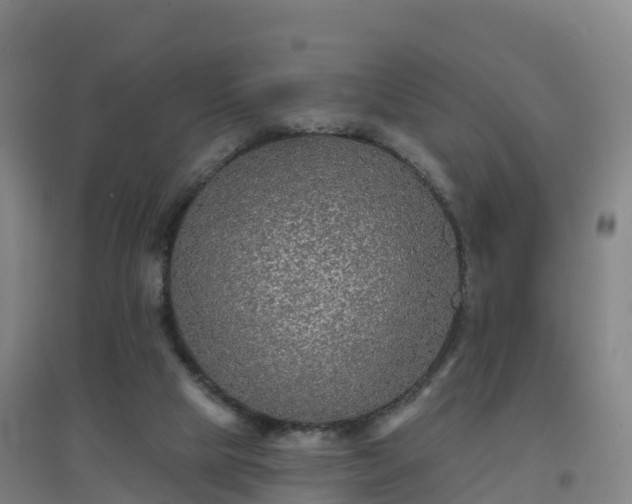 X0000096710065200802121234