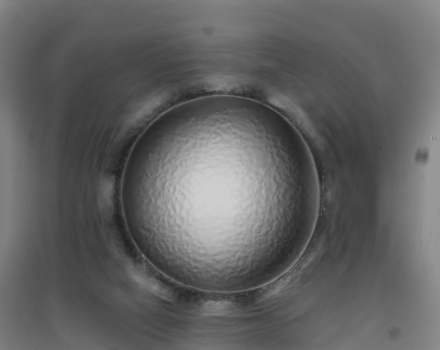 X0000096710066200802121234